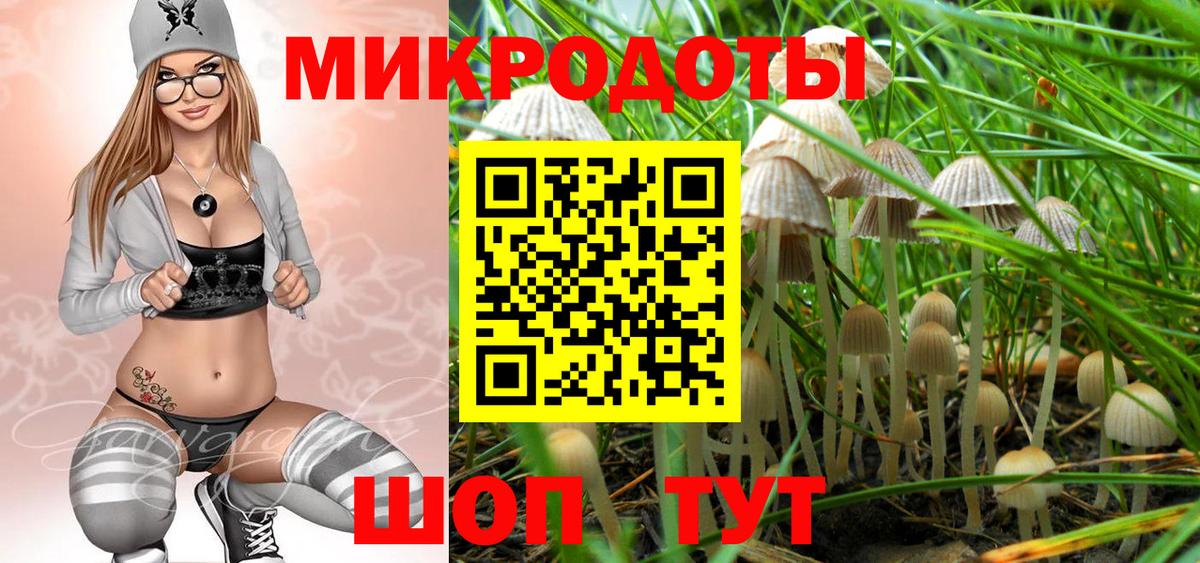 Галлюциногенные грибы Cubensis Усть-Джегута